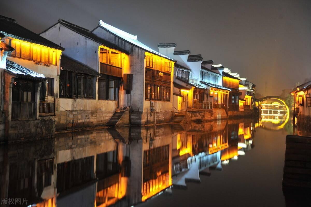 金刚鹦鹉逃生